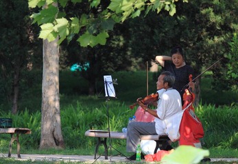 IMG_4526.JPG