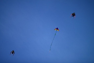 IMG_4533.JPG