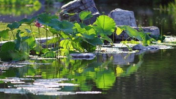 IMG_4551.JPG