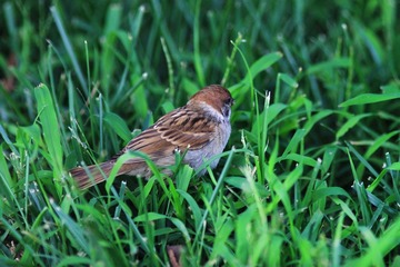 IMG_4577.JPG