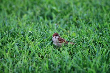 IMG_4583.JPG