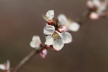 IMG_5630.JPG