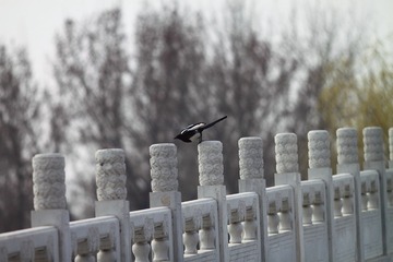 IMG_5699.JPG