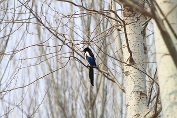IMG_5729.JPG