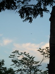 87DB4879-2FE4-4577-8F63-B7C8BE0CC4D3/L0/001
