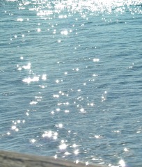 2AEFD65E-9C31-4D04-A4C3-677503EC39F0/L0/001