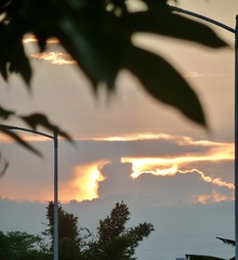 3AA8D398-67A7-4C7C-A9DB-D0ED81D4744B/L0/001