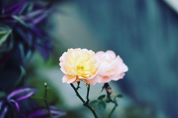 97C8F638-1493-48F2-A616-E34F5315D9EC/L0/001