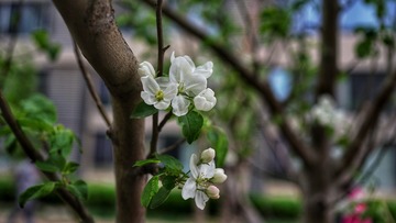 5765FA99-C7B7-4A4F-B4D3-3439BDEC4953/L0/001