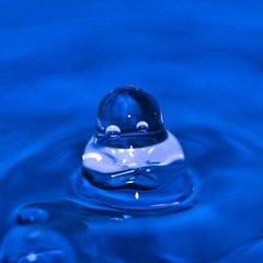 dsc_60151706.jpg