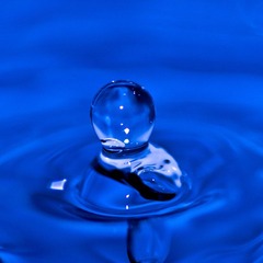 dsc_60171706.jpg