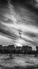 IMG_9499.jpg