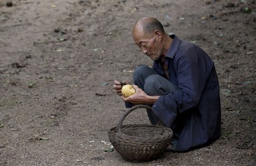 削土豆的老人.jpg