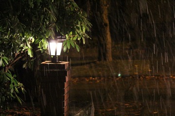 IMG_0431.JPG