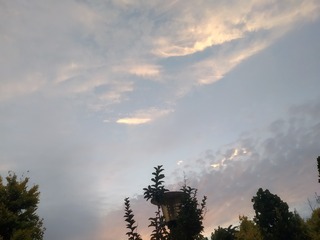 2786145
