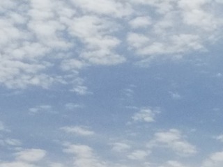 3242566