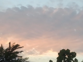 2786147
