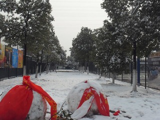 本来是雪人
