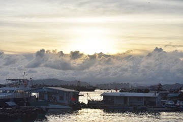 DSC_0221_柔光