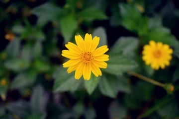 DSC_0044_HDR