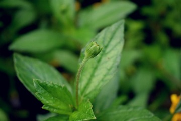 DSC_0072_HDR