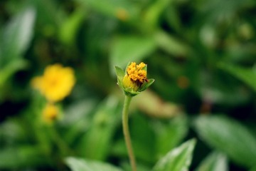 DSC_0074_HDR
