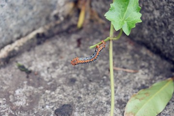 DSC_0188_HDR