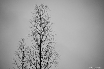 389822