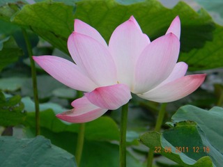 DSCN3037.JPG
