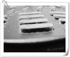 DSCN4006.jpg