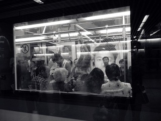 DSCN5506.jpg