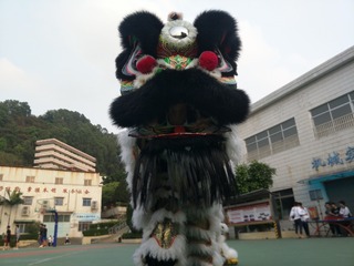 243