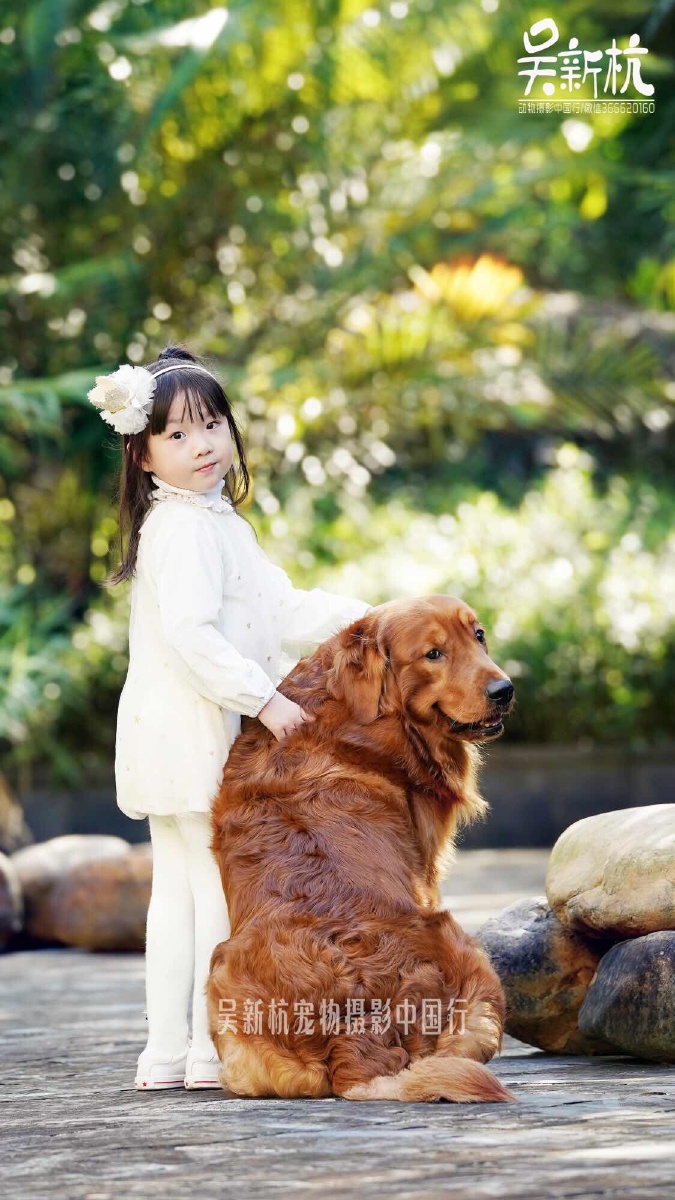 两萌娃的一起回眸 - 宠物摄影中国行吴新杭