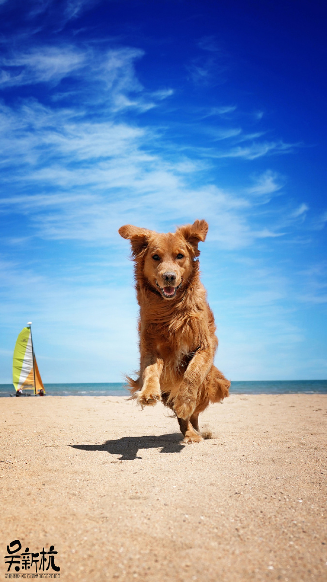 快伸手接住我啊