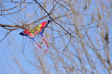 DSC_7451.JPG