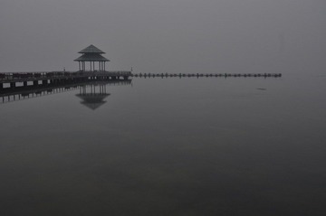 DSC_0333.JPG