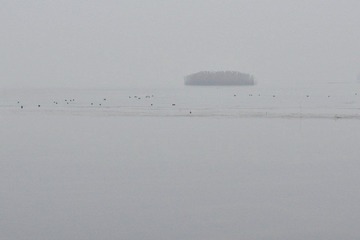 DSC_0379.JPG