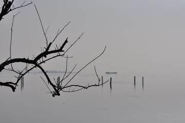 DSC_0804.JPG