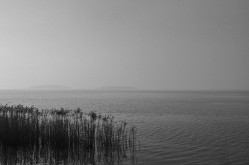 DSC_0730.JPG