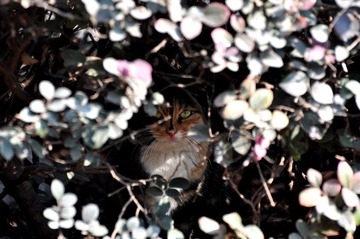 DSC_0835.JPG