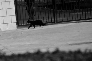 DSC_0841.JPG