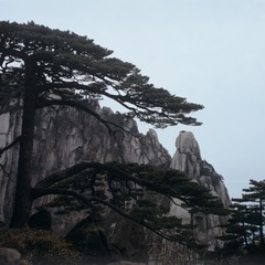IMG-9000-34900-120