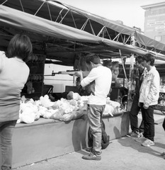 IMG-9000-35087-120