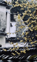 7C8487D5-238B-4DA7-95EF-B39978D0D1DB/L0/001