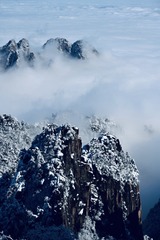 F8D94C82-85EF-4881-9D6B-02792962ED26/L0/001