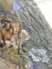 DSCN2611.JPG