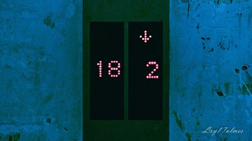 236577