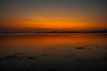 99C9FD2C-6B1D-49EF-8C1A-E15A7E81626D/L0/001