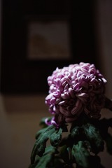 3B5FD29E-A56D-4AAD-8D9B-B341E75A4158/L0/001