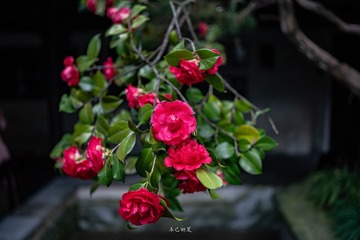 AC3716D1-60F0-4622-A49D-987C663576DD/L0/001